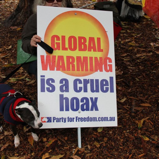 A person holds a sign reading "GLOBAL WARMING is a cruel hoax" with a dog standing nearby on a leafy ground.