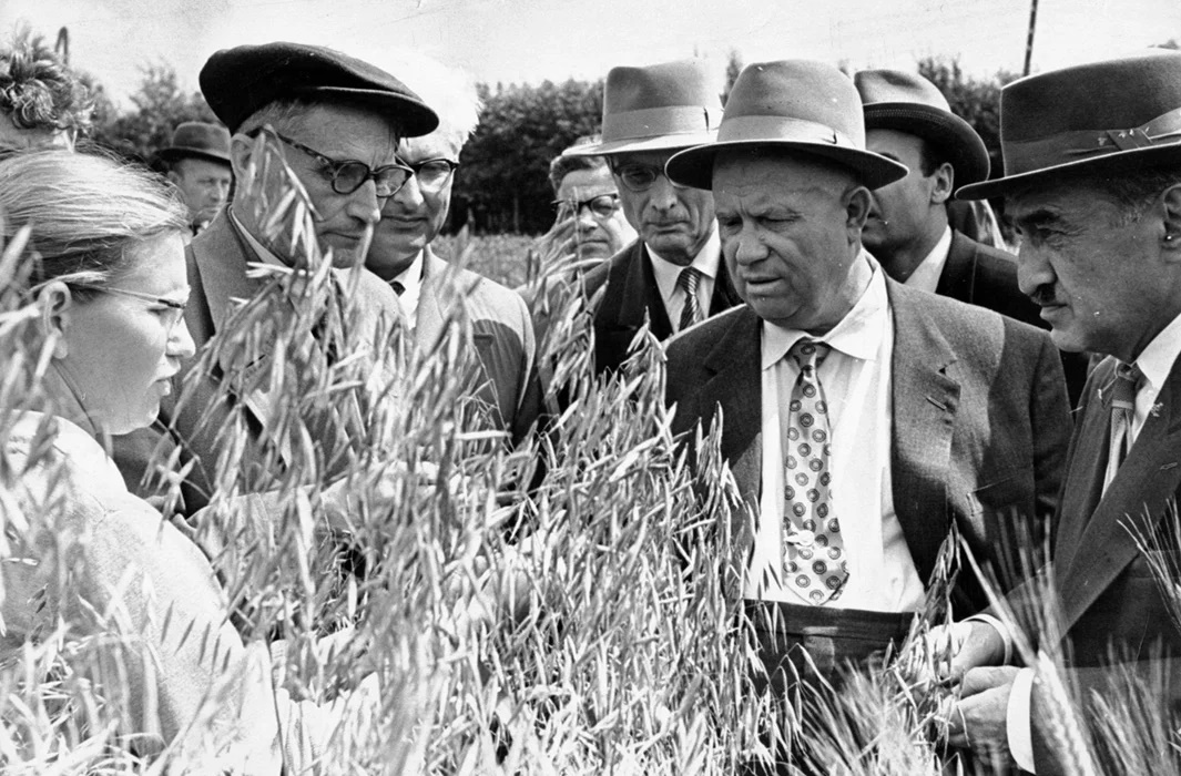 A group of men and one woman, clad in suits and hats, meticulously examine crops in a field under the scrutinizing gaze of science.