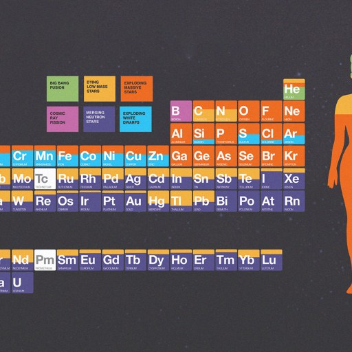 Illustration of the periodic table with a human silhouette reveals how heaviest elements shape us. Elements are color-coded, depicting the percentage composition of the body: 73% oxygen, 16.5% carbon, 9.5% hydrogen, and 1% others.