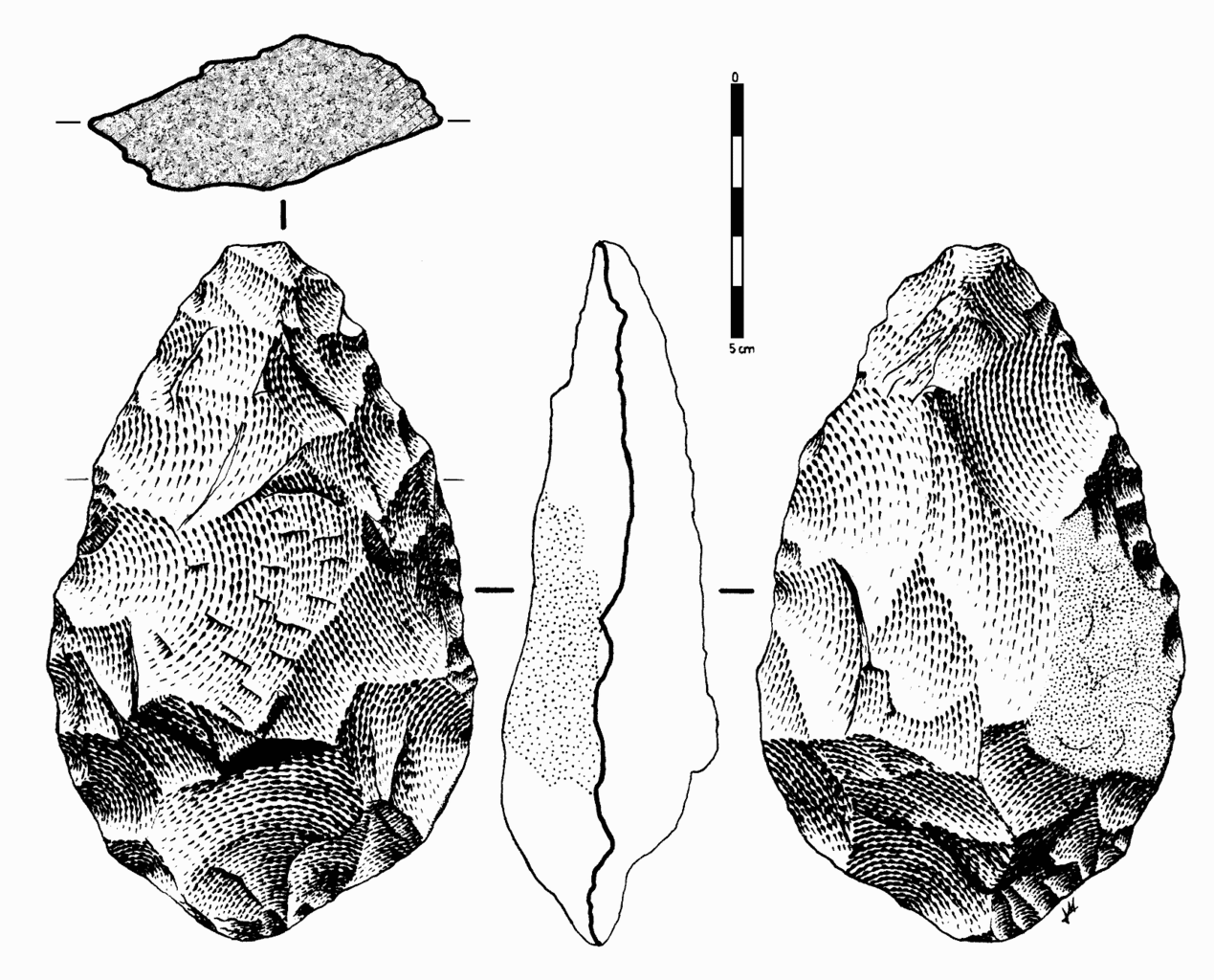 Illustration of a prehistoric stone tool viewed from different angles with a scale bar indicating 5 cm.