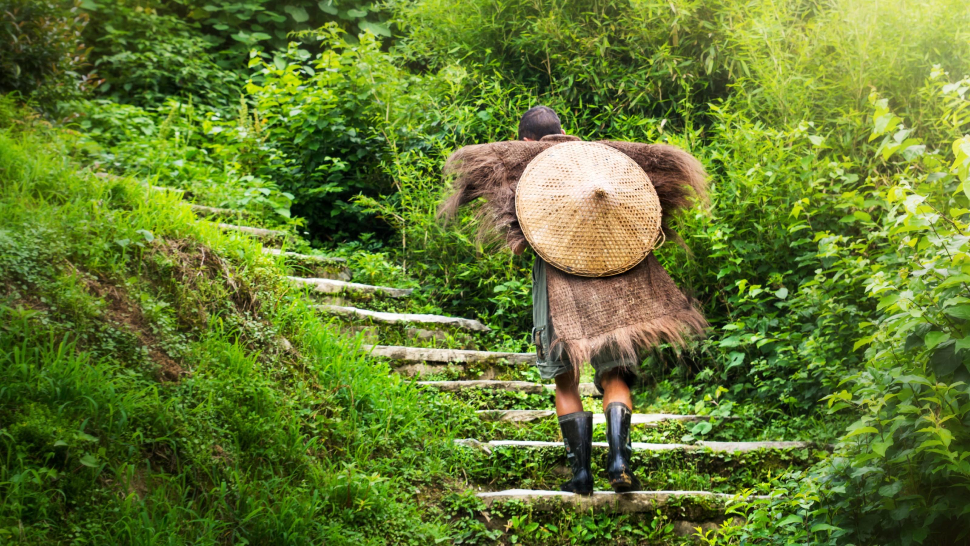 Person wearing a woven cape and hat, walking up stone steps surrounded by lush greenery.