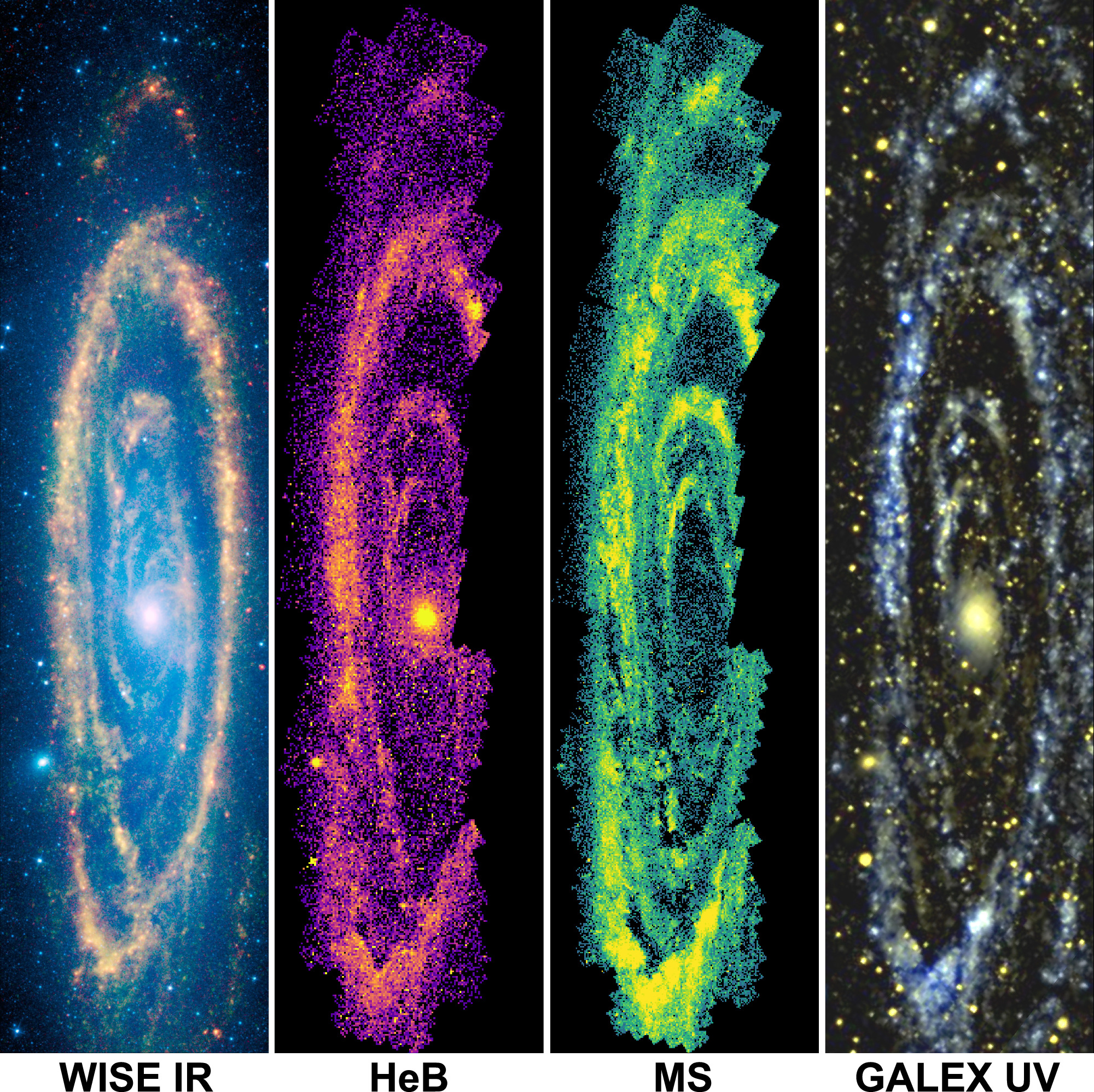 Four-panel image showcasing the largest galactic mosaic in various wavelengths: infrared (WISE IR), helium burning (HeB), main sequence (MS), and ultraviolet (GALEX UV).