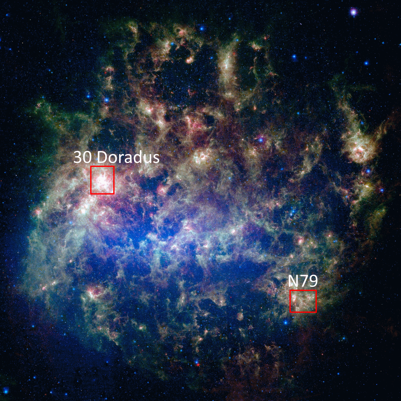 Colorful image of the Large Magellanic Cloud featuring star-forming regions, including the super star cluster 30 Doradus and N79, highlighted by red boxes.