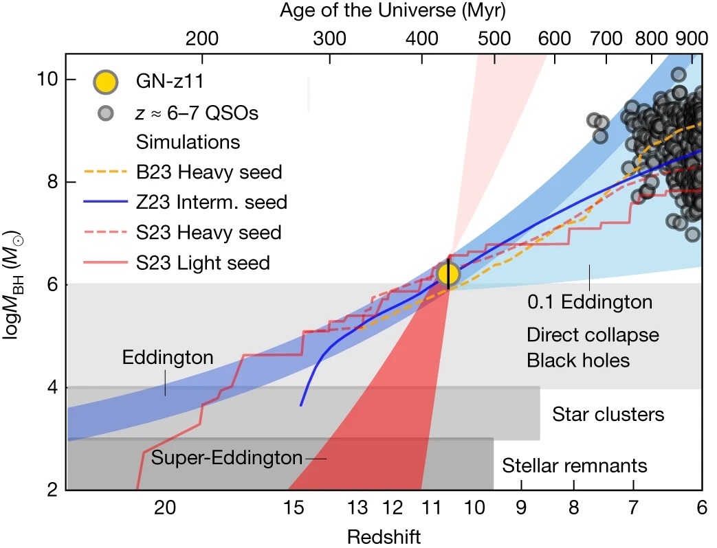 Graph illustrating the growth of black holes across redshifts, comparing heavy seed models (B23, S23) and other simulations. This science-driven chart highlights GN-z11 with data points and notable regions, like Eddington limits, presenting a great paradox of cosmic evolution.