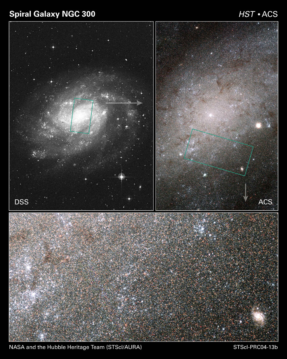 Composite image of spiral galaxy NGC 300. Left: wide view with area highlighted. Right: close-up of highlighted area. Bottom: magnified star field view. NASA and the Hubble Heritage Team.