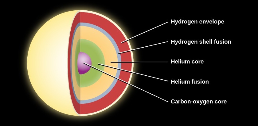 Diagram of a star's layers, labeled from outer to inner, showing its hydrogen envelope, hydrogen shell fusion, helium core, helium fusion, and carbon-oxygen core as the sun evolves into a planetary nebula when it dies.