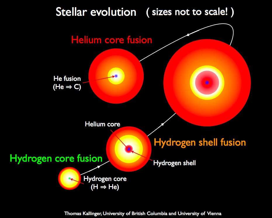 Diagram illustrating the stages of stellar evolution: hydrogen core fusion, helium core fusion, hydrogen shell fusion, and helium shell fusion. As a star like our sun evolves and eventually dies, it may form a stunning planetary nebula. Not to scale.