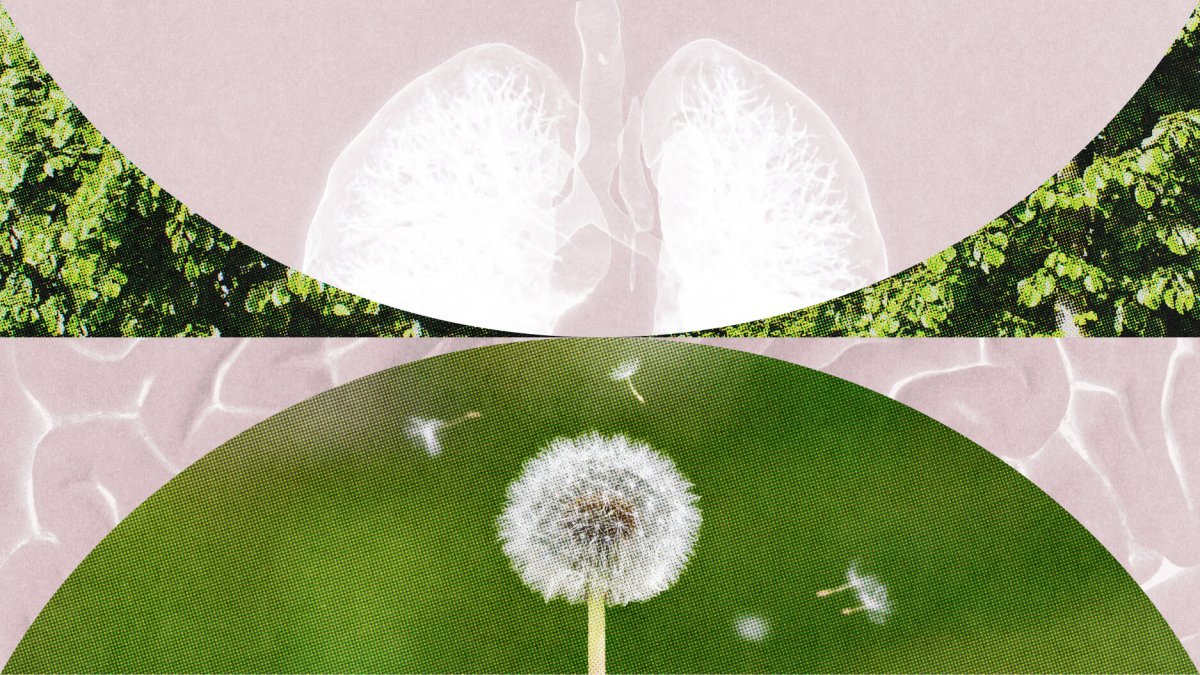 A stylized collage featuring an X-ray of human lungs above and a dandelion dispersing seeds below, set against green and beige backgrounds, evokes the easy, slack flow of breath and gentle change.