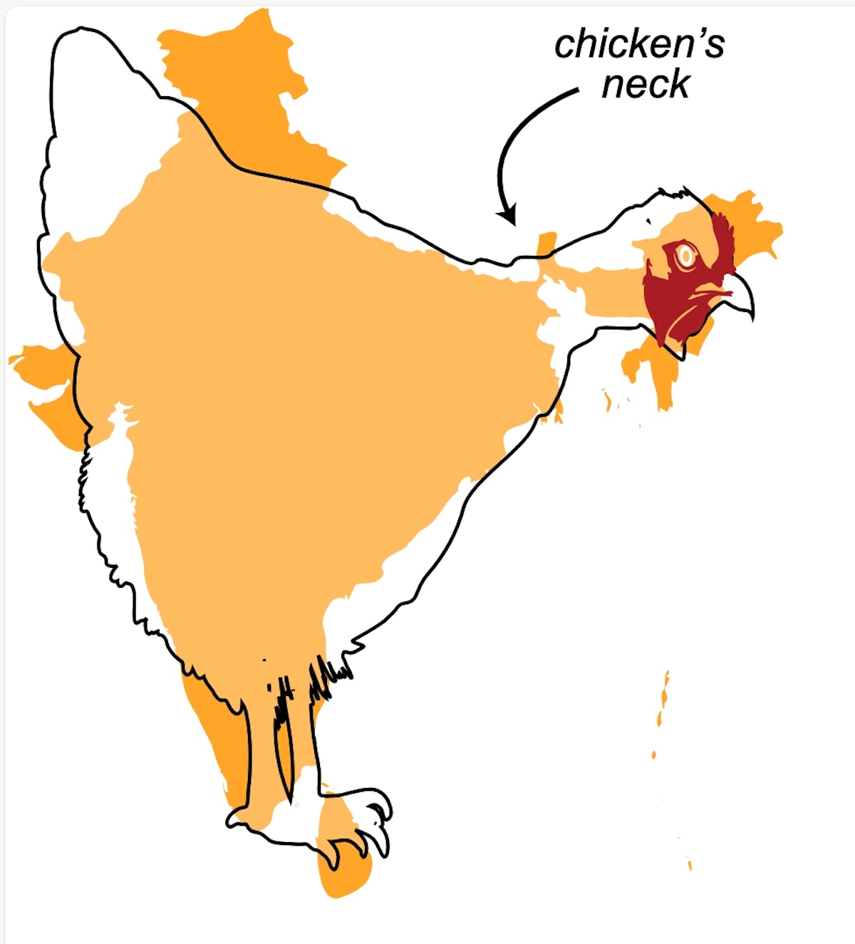 Outline of a chicken overlaid with orange map shapes; an arrow points to the neck area labeled "chicken's neck.