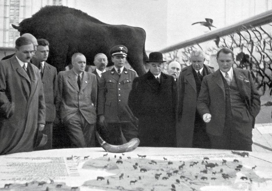 A group of men, some in military uniform, stand around a large table with a detailed map and model animals; a taxidermy bison and a horn are displayed nearby.