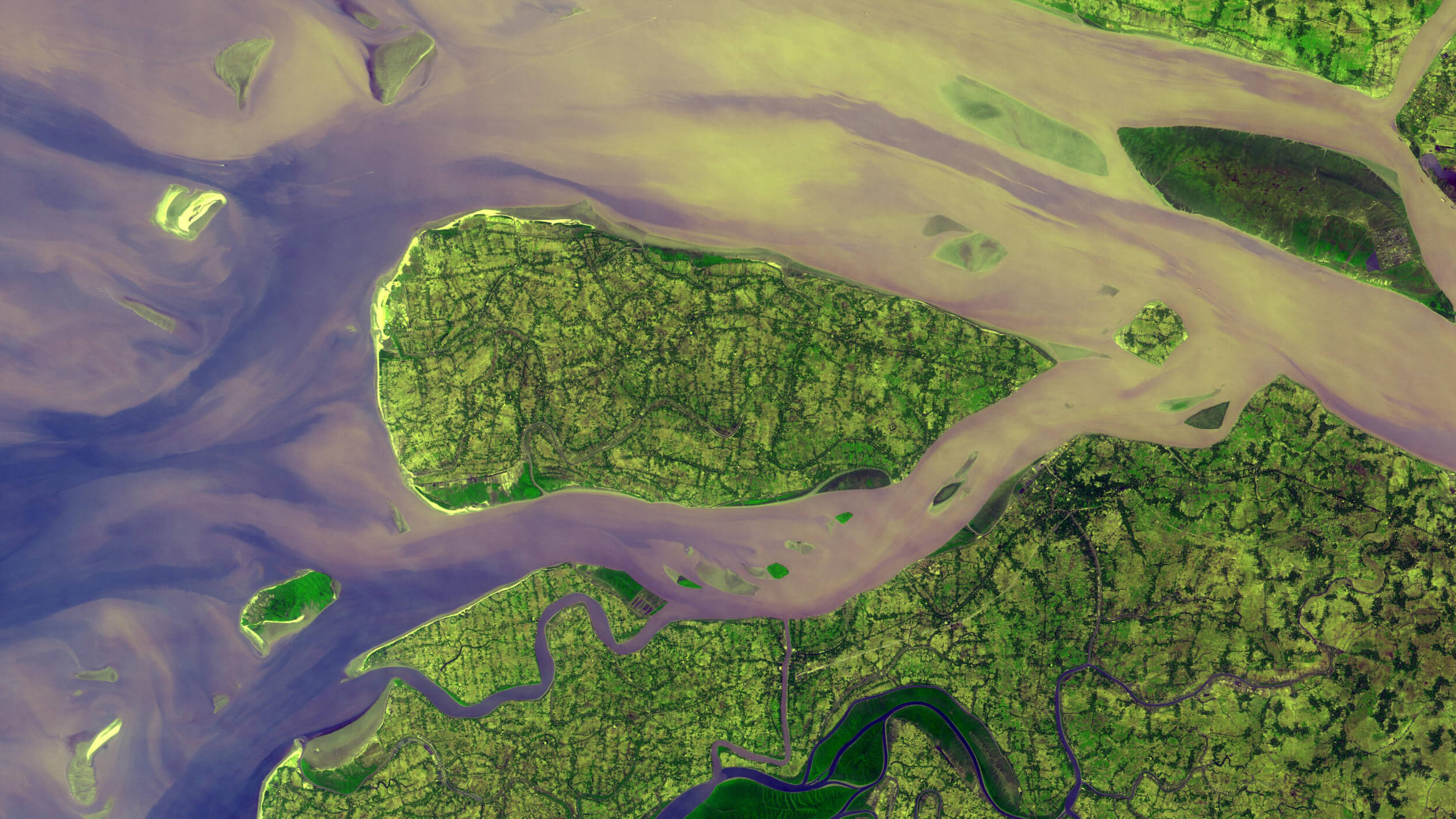 Aerial view of winding rivers and wetlands showcases lush green vegetation and tan sediment-laden water converging with a larger body of water.
