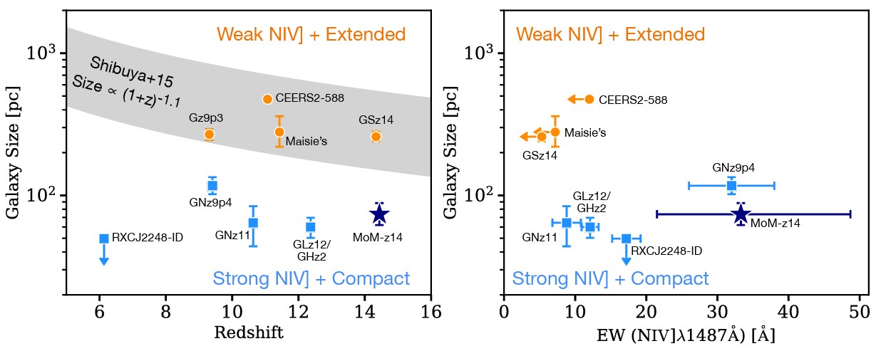 Two scatter plots show galaxy size versus redshift (left) and versus EW (right), comparing "Weak NIV] + Extended" (orange) and "Strong NIV] + Compact" (blue) samples, including a JWST record distant galaxy candidate.