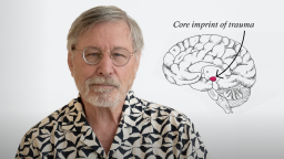 An older man with glasses stands next to a diagram of a brain highlighting the “core imprint of trauma” with a red dot and an arrow.