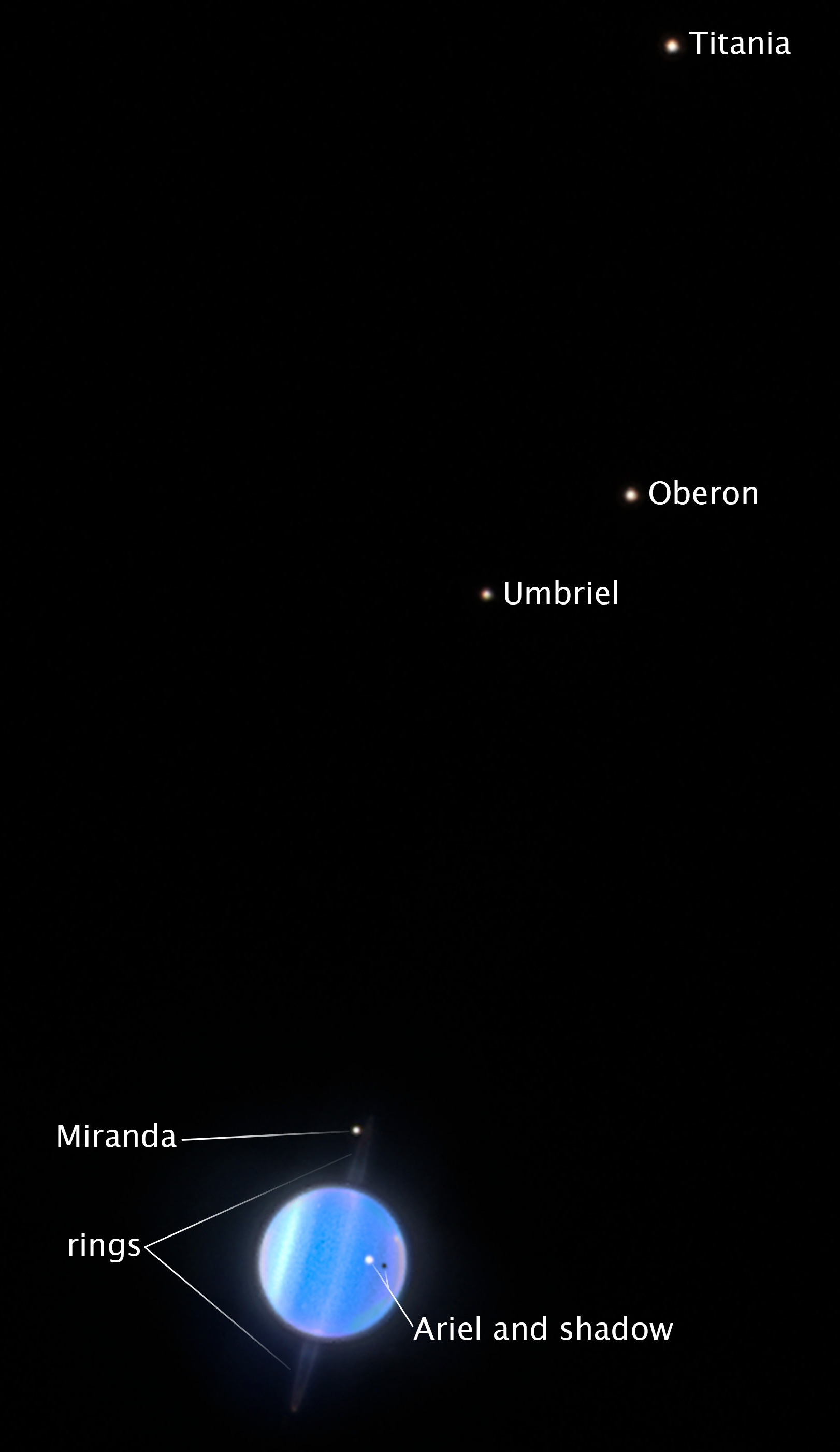 Labeled image of Uranus showing its blue disk, darkened rings, and five moons: Miranda, Ariel, Umbriel, Titania, and Oberon.