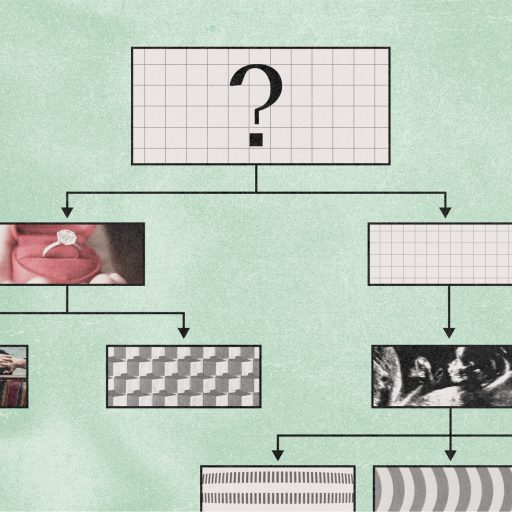 A flowchart with a large question mark at the top leads to boxes containing photos, abstract patterns, and arrows connecting each step on a textured green background.