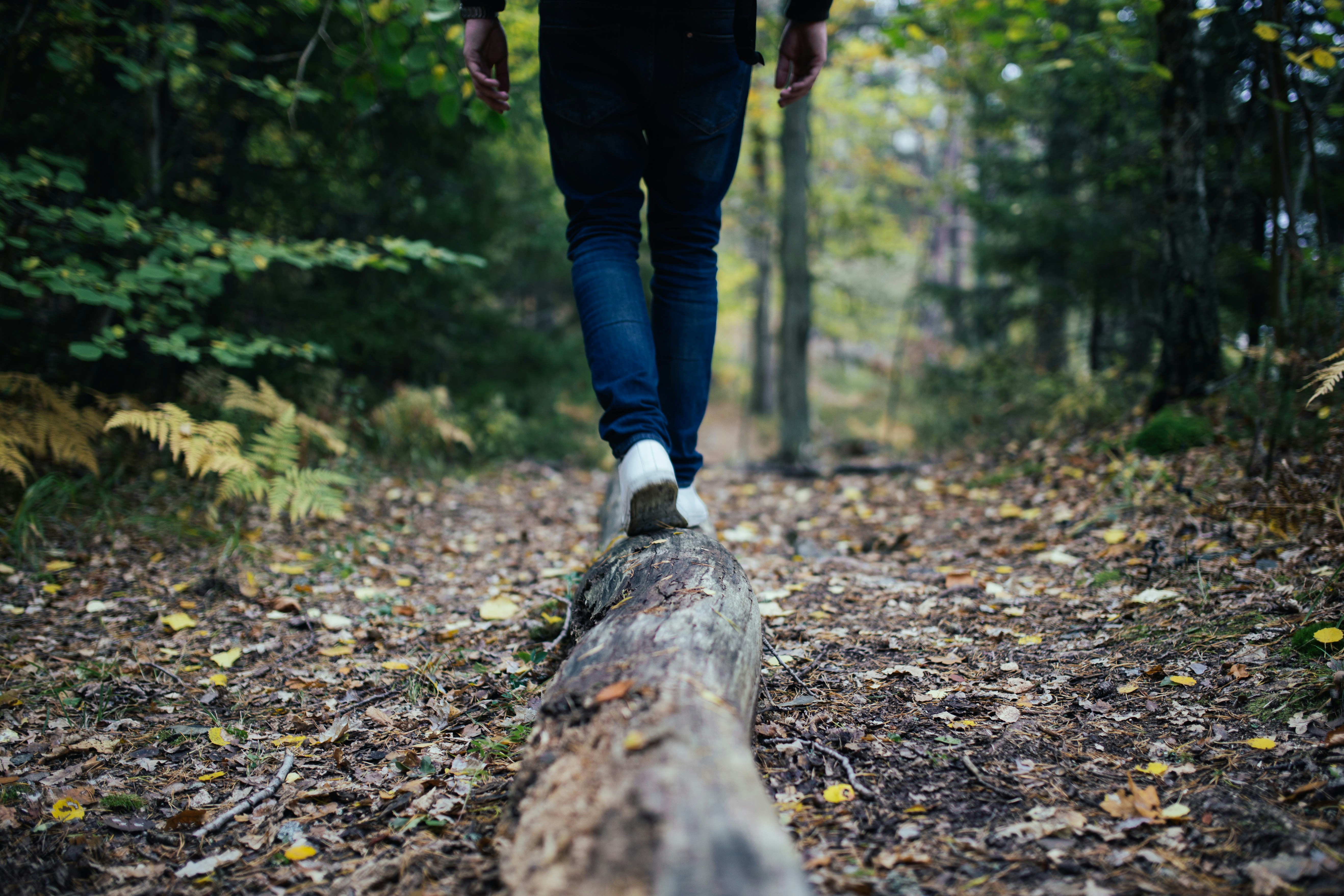 A person wearing jeans and white shoes balances while walking along a fallen log on a forest path covered with leaves.