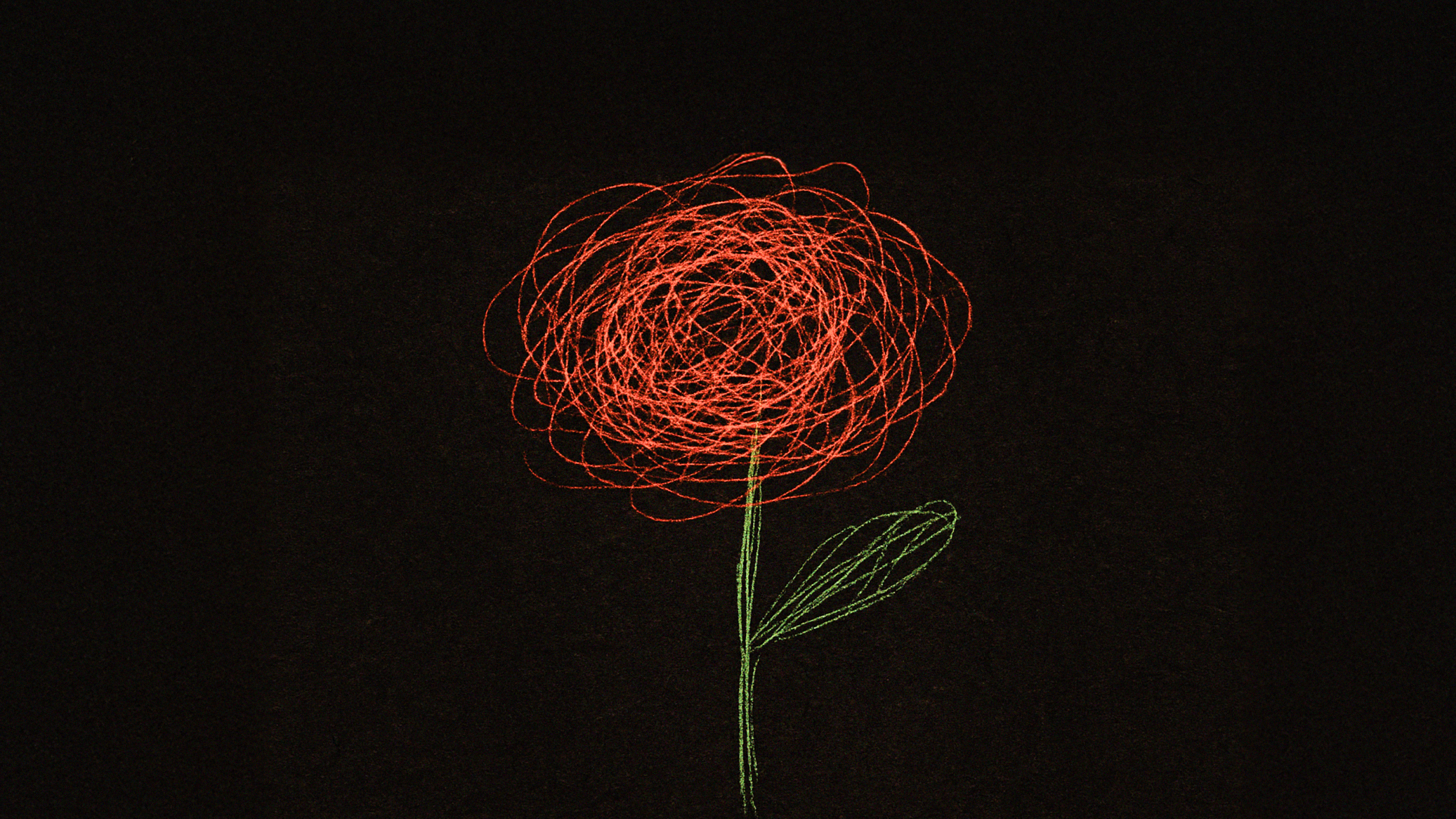 A red flower with a green stem and leaf drawn using overlapping scribbled lines on a black background.