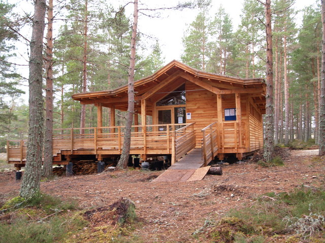 A wooden cabin with a ramp and porch is situated among tall pine trees in a forested area.