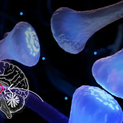 Illustration of a brain with highlighted regions overlaid on a close-up image of blue synapses and neurons, representing neural communication.