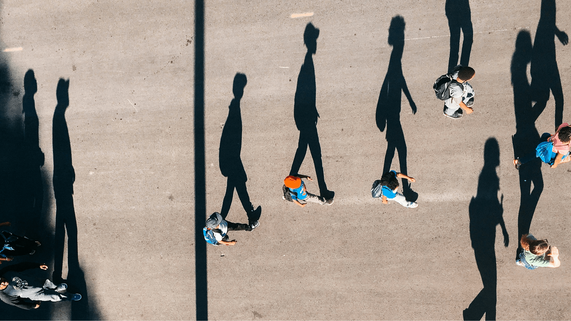 Aerial view of people walking on a paved surface, casting long shadows behind them in bright sunlight.