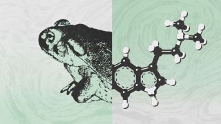 A split image showing the left half of a frog and the right half of a chemical structure on a green and white textured background.