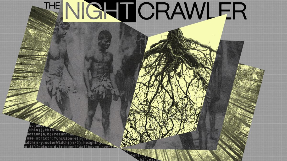 Collage featuring "THE NIGHTCRAWLER" text, a black-and-white photo of a person, tree roots reminiscent of smart forests, and code fragments, all overlaid on a gray grid background.