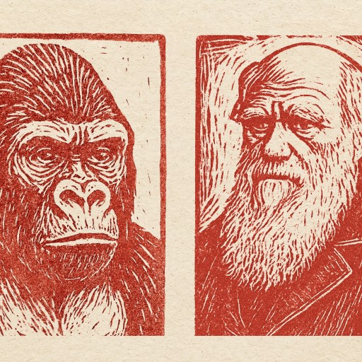 Two red-toned, woodcut-style portraits side by side: one of a gorilla and one of an older man with a beard, on a beige background.