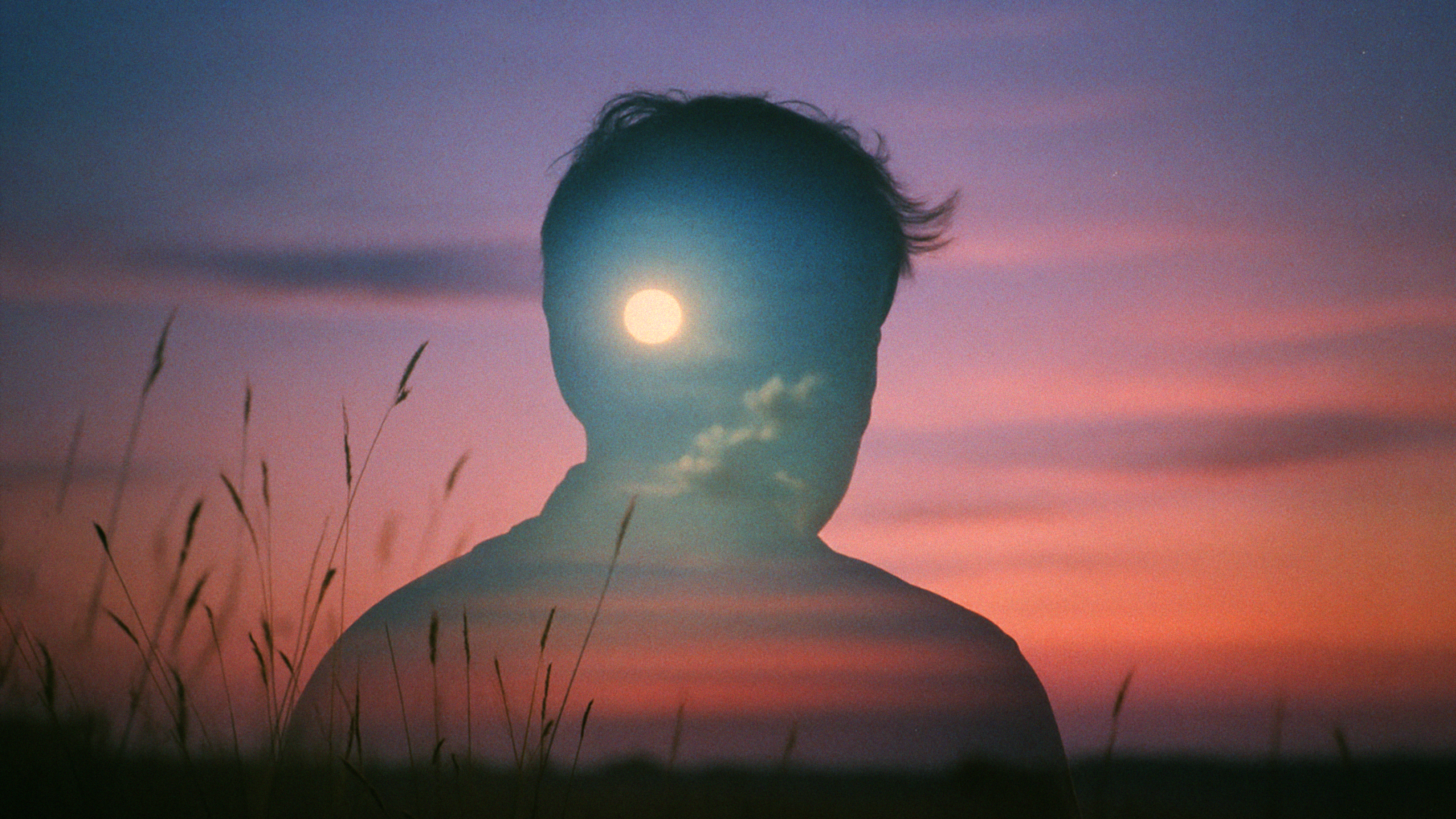 Silhouette of a person overlaid with a sunset sky and a full moon, with tall grass in the foreground.