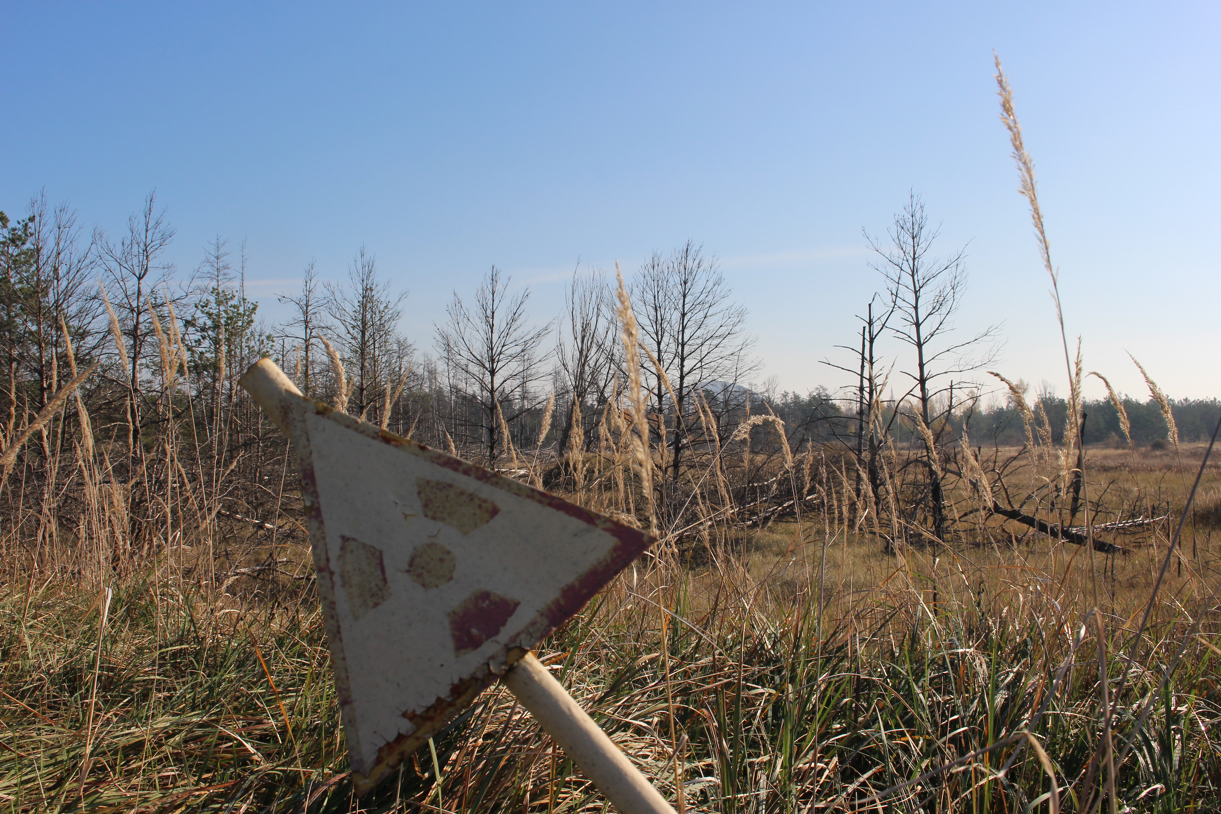 Rusty triangular sign in overgrown grass, with bare trees and tall dry reeds in a field under a clear blue sky.