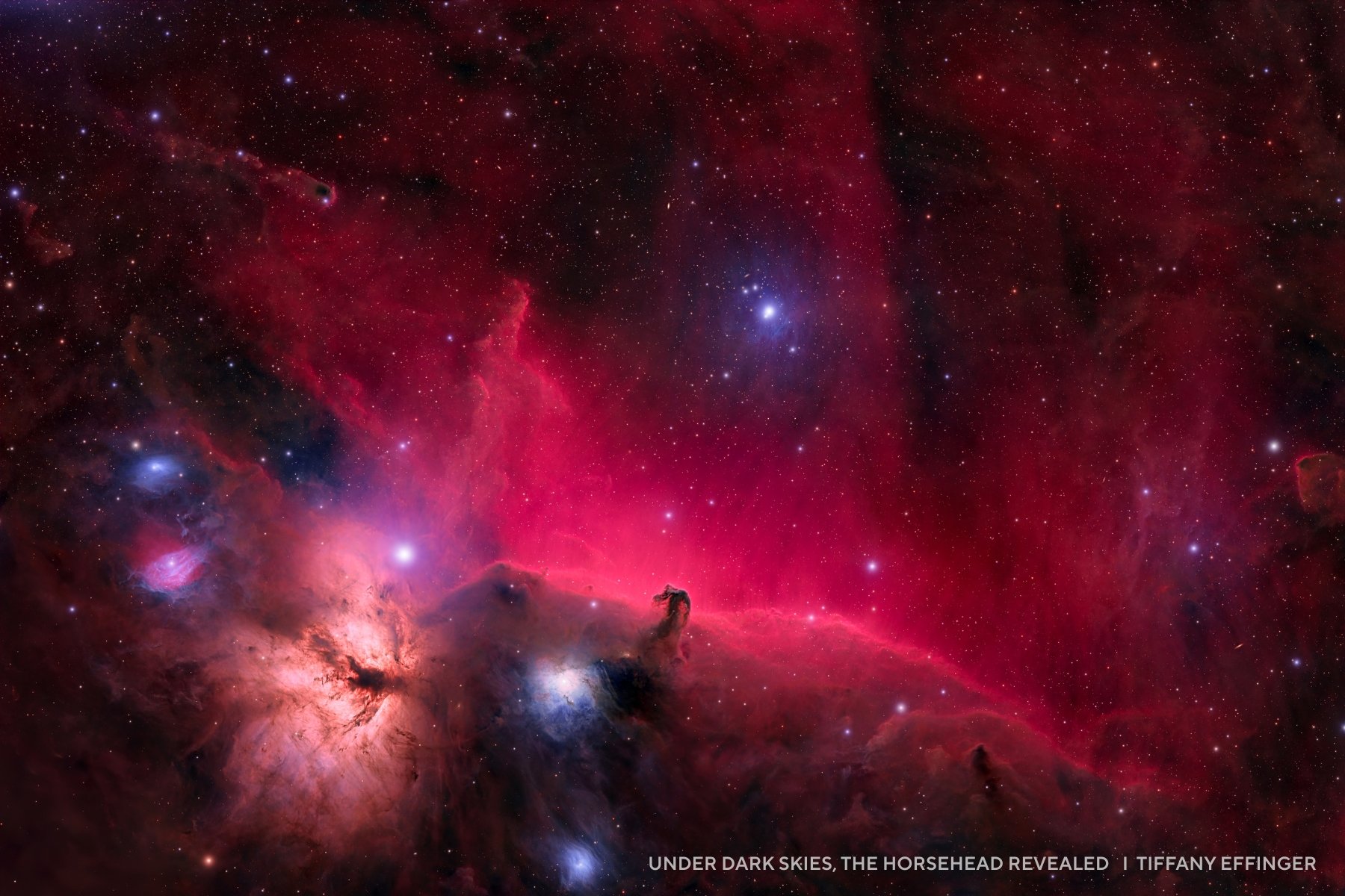 A vivid image of the Horsehead Nebula, featured in 2025 night sky images, shows bright stars and deep red clouds of gas and dust. The nebula&rsquo;s distinctive horsehead shape is clearly visible near the center.