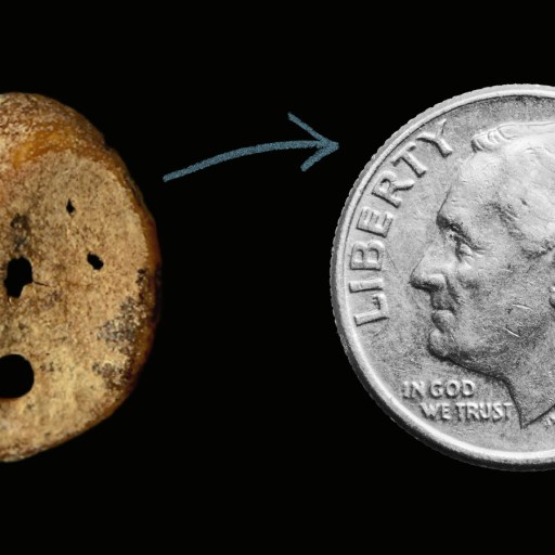 A small, irregular brown stone with holes—possibly linked to Denisovans—is shown next to a 1990 U.S. dime for size comparison.