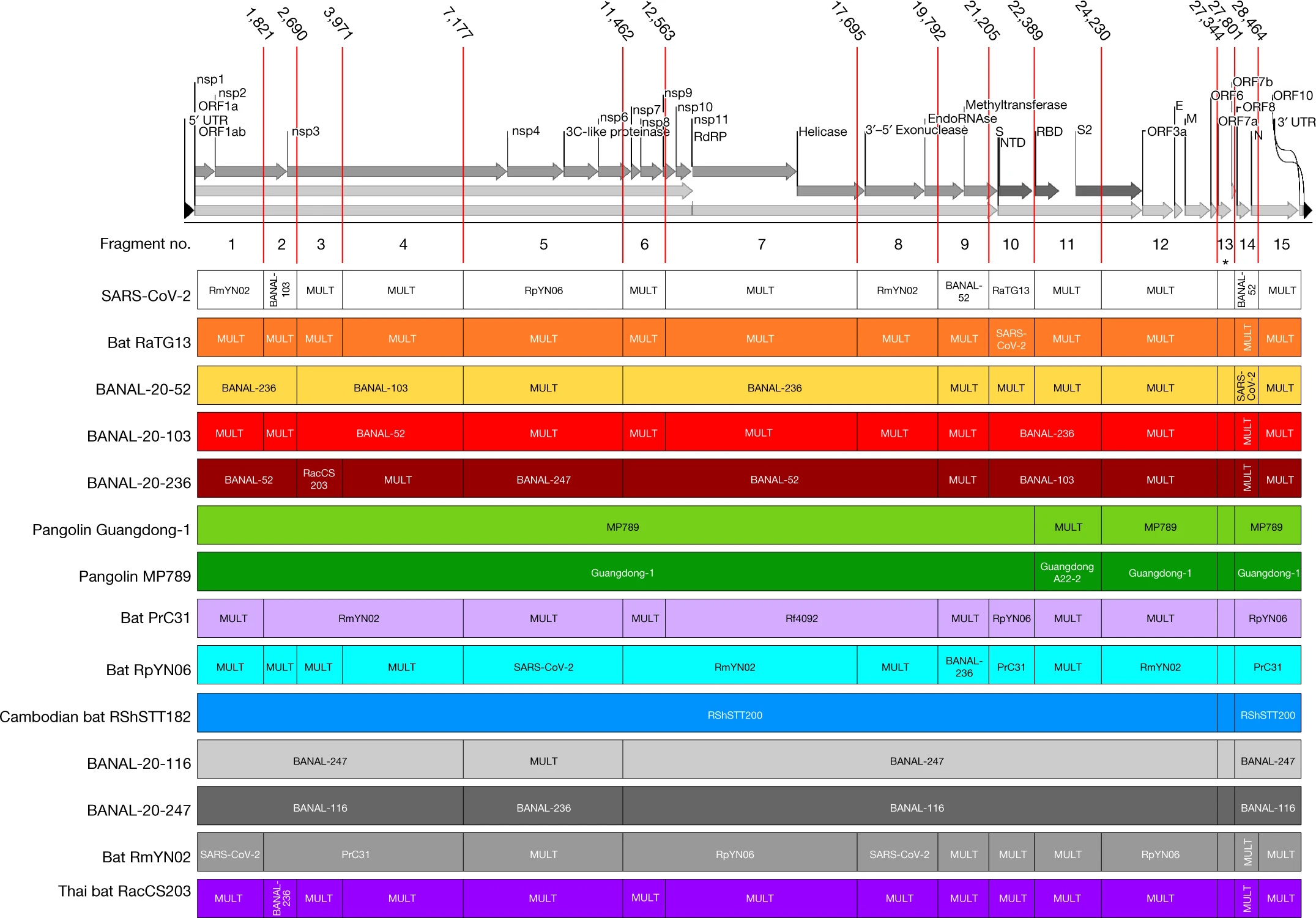 Comparison chart showing genetic fragments of SARS-CoV-2 and related viruses from bats and pangolins, with protein annotations and nucleotide differences&mdash;demonstrating that, much like Einstein, change the facts can transform our understanding of viral evolution.
