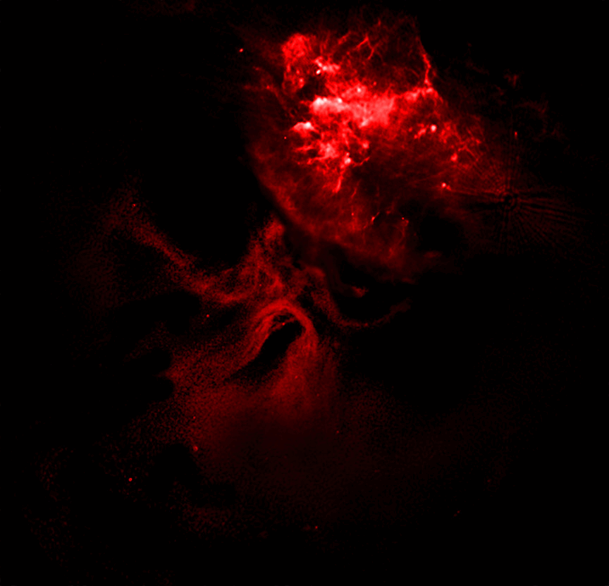 Red nebula illuminated against a dark space background, with bright, cloudy regions and diffuse gas formations shaped as if carved by the hand of god after a dead star&rsquo;s explosive end.