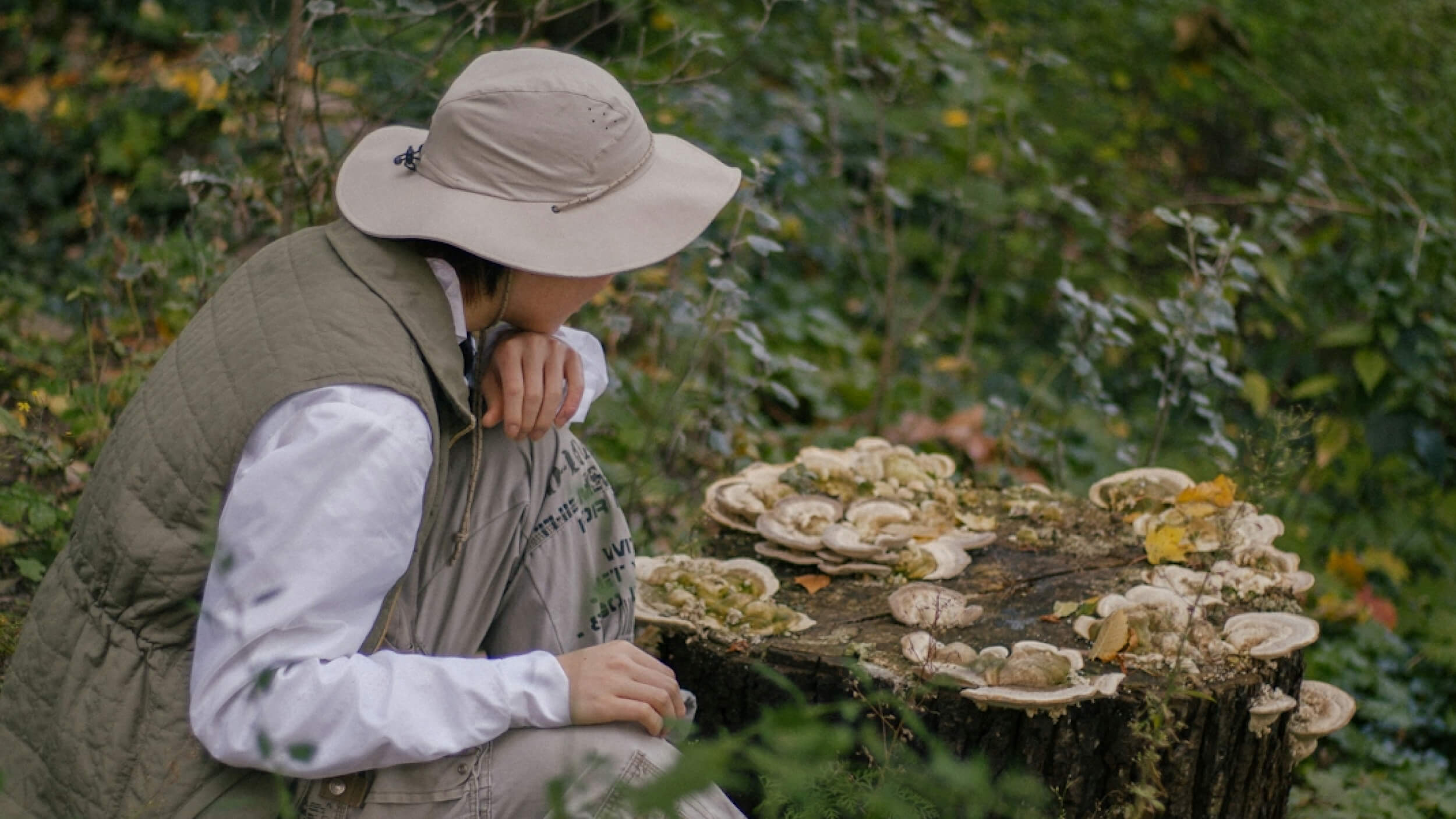 A person wearing a wide-brim hat and vest crouches beside a tree stump covered with various fungi, gazing in wonder at the fascinating growths in the green forested area.