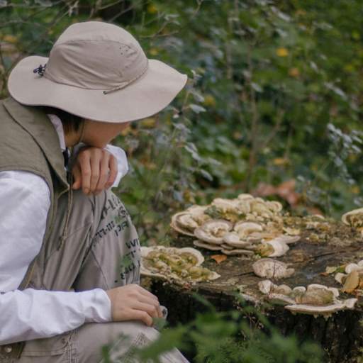 A person wearing a wide-brim hat and vest crouches beside a tree stump covered with various fungi, gazing in wonder at the fascinating growths in the green forested area.