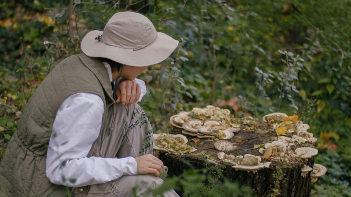 A person wearing a wide-brim hat and vest crouches beside a tree stump covered with various fungi, gazing in wonder at the fascinating growths in the green forested area.