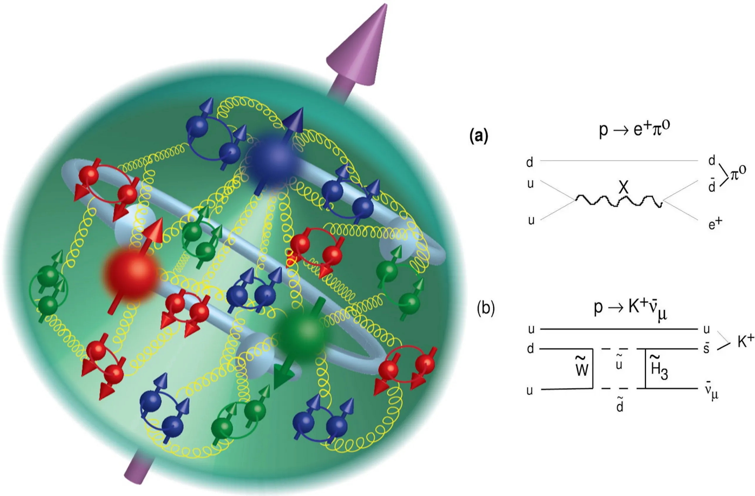 Illustration of a proton showing quarks, gluons, and decay processes; includes Feynman diagrams for proton decay&mdash;reminding us even Einstein couldn&rsquo;t change the facts of particle physics.