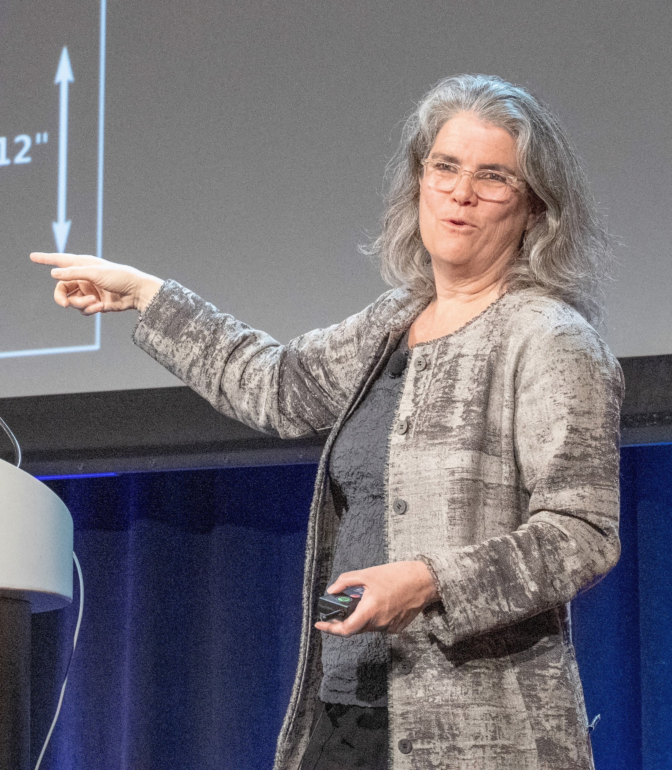 A woman with gray hair and glasses is standing on stage, pointing at a projection screen during a presentation.