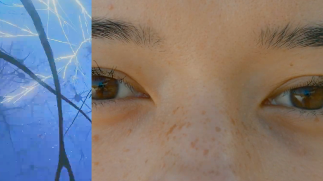 Close-up of a person's face with brown eyes and freckles, next to an abstract blue and white pattern resembling tree branches and lightning.