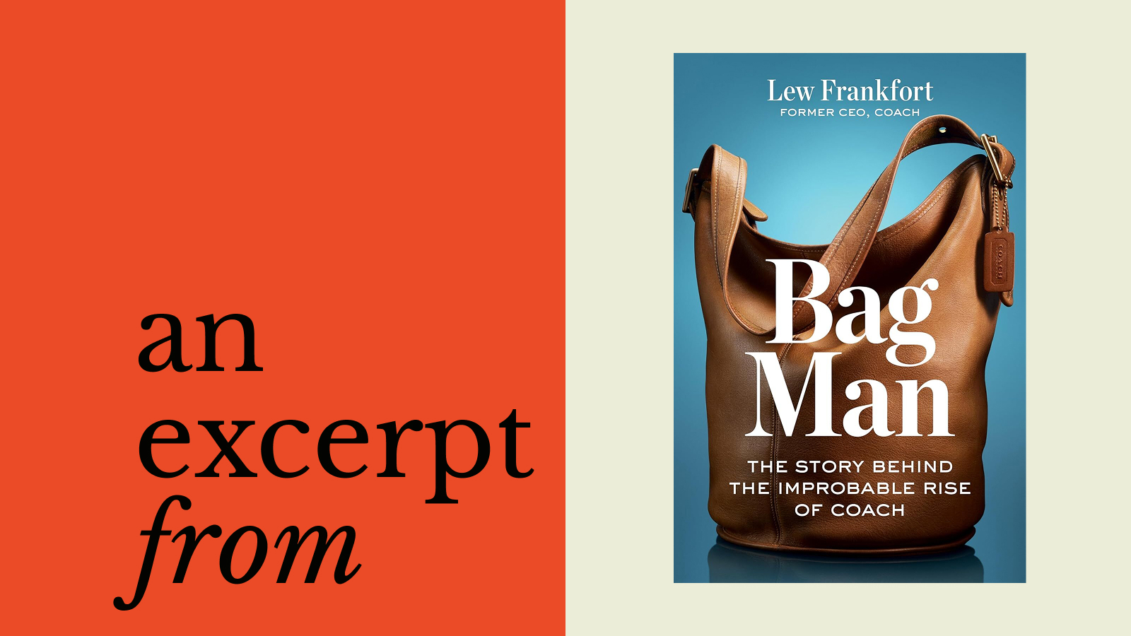 A book cover featuring a brown purse, inspired by the iconic style of Lew Frankfort.