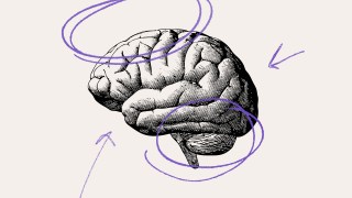 Black and white illustration of a human brain with purple scribble circles and arrows pointing toward it on a light background, perfect for those interested in books about the brain.