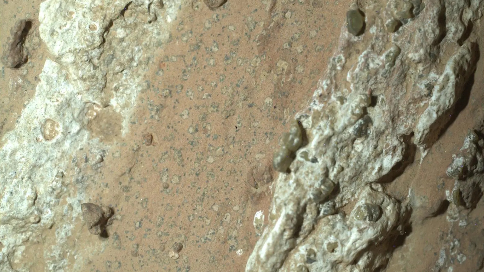 Close-up view of a rocky surface with light-colored, rough-textured formations and scattered small pebbles on reddish-brown soil, evoking the search for organics and hints of possible Mars life.