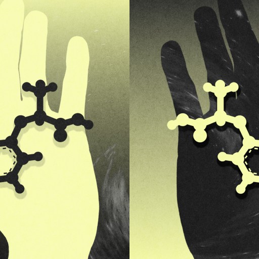 Two hands, one light and one dark, each holding a contrastingly colored molecular structure against a gradient background.