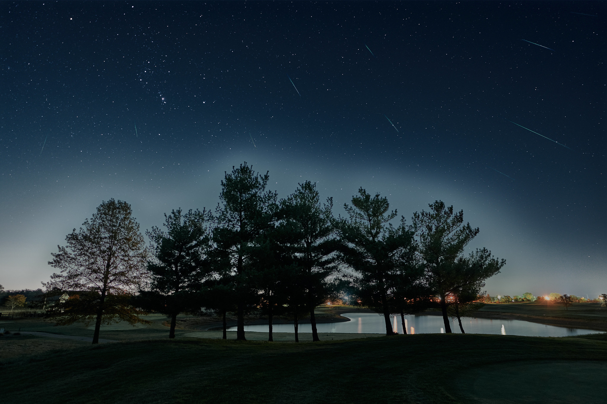 Trees silhouetted against a night sky with visible stars and shooting stars streaking by, near a calm lake with distant lights on the horizon&mdash;perhaps even a glimpse of Halley's Comet.