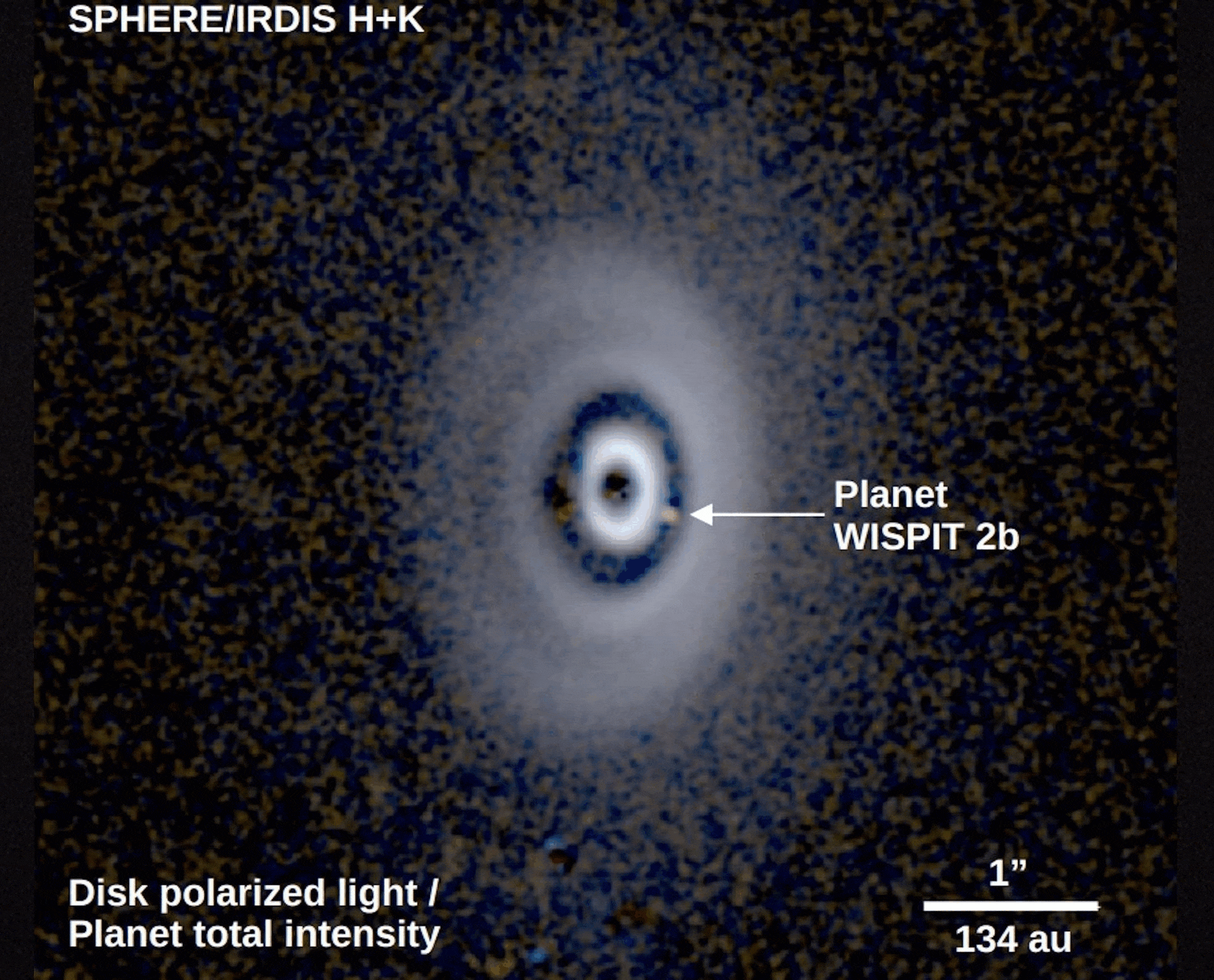 Astronomical image showing a bright ring with a label pointing to "Planet WISPIT 2b"&mdash;a potential gap-clearing planet inside the ring; scale bar indicates 1" equals 134 au.