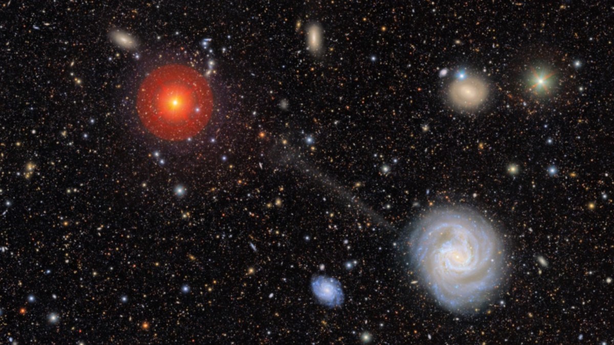 A field of galaxies in deep space, featuring a bright spiral galaxy at the lower right with a stellar stream escaping the galaxy, and a large, bright red star at the upper left.