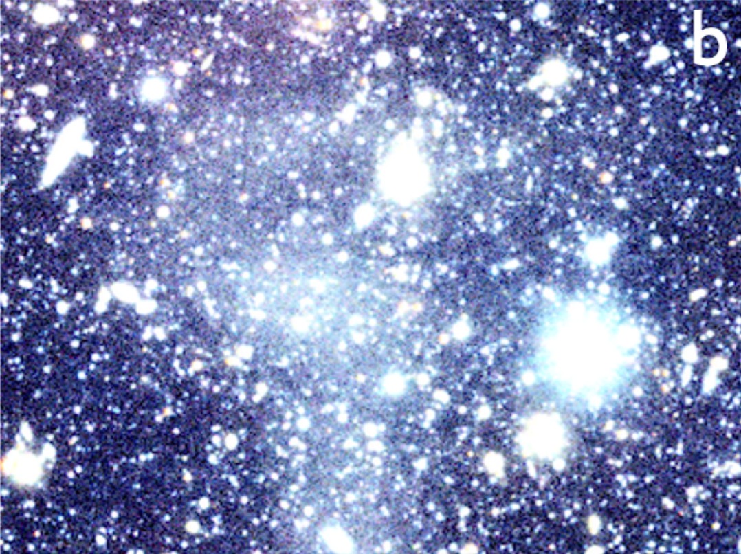 A dense field of stars and galaxies in space, featuring a stellar stream escaping galaxy, with various bright and faint light sources set against a dark background.