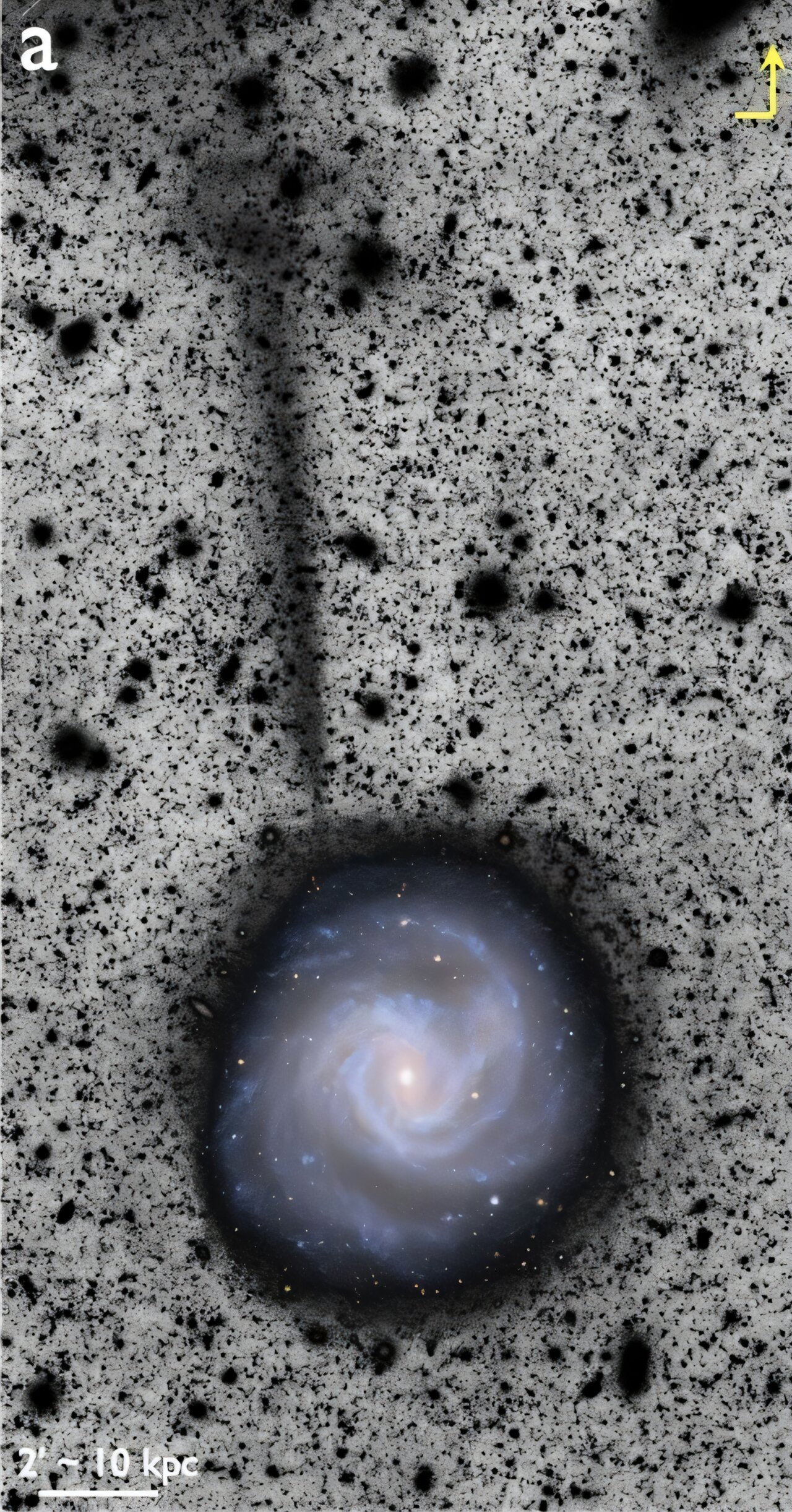 A spiral galaxy is shown with a faint, dark tail-like structure&mdash;possibly a stellar stream escaping the galaxy&mdash;extending upward; scale bar and direction indicator are visible in the corners.