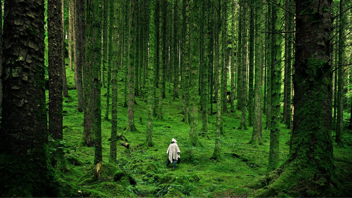 A person wearing a light-colored cloak stands in a dense, green forest, surrounded by tall trees and moss-covered ground—an ideal setting for quiet reflection and systems thinking.