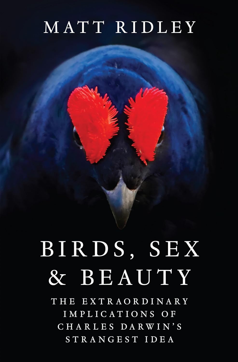 Book cover showing a bird with bright red facial features on a dark background, titled "Birds, Sex & Beauty" by Matt Ridley. Subheading discusses Darwin&rsquo;s ideas.